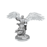 D&D Nolzurs Marvelous Unpainted Miniatures Aasimar Cleric Male