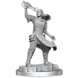 D&D Nolzurs Marvelous Unpainted Miniatures Aasimar Cleric Female
