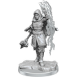 D&D Nolzurs Marvelous Miniatures Half-Elf Warlock