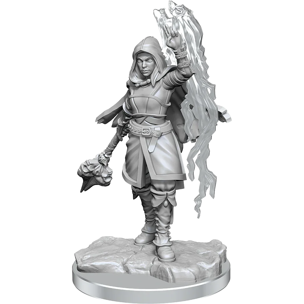 D&D Nolzurs Marvelous Miniatures Half-Elf Warlock