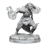 D&D Nolzurs Marvelous Miniatures Half-Elf Warlock