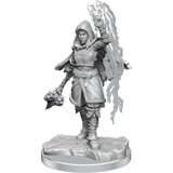 D&D Nolzurs Marvelous Miniatures Half-Elf Warlock