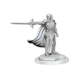 D&D Nolzurs Marvelous Miniatures Death Knights