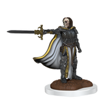 D&D Nolzurs Marvelous Miniatures Death Knights