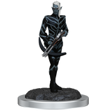 D&D Nolzurs Marvelous Miniatures Drow Fighters