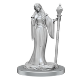 Critical Role Unpainted Miniatures Human Wizard Female & Halfling Holy Warrior Female
