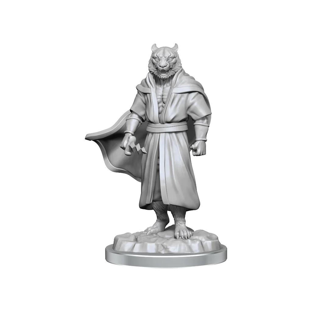 Critical Role Unpainted Miniatures Male Human Sorcerer Merchant & Tiger Demon