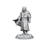 Critical Role Unpainted Miniatures Male Human Sorcerer Merchant & Tiger Demon