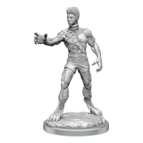 D&D Nolzurs Marvelous Miniatures Headless Monster