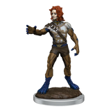 D&D Nolzurs Marvelous Miniatures Headless Monster