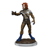 D&D Nolzurs Marvelous Miniatures Headless Monster