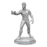 D&D Nolzurs Marvelous Miniatures Headless Monster