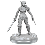 D&D Nolzurs Marvelous Miniatures Elf Rogue & Half-Elf Rogue Protege