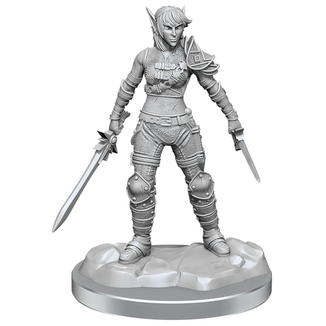 D&D Nolzurs Marvelous Miniatures Elf Rogue & Half-Elf Rogue Protege