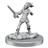 D&D Nolzurs Marvelous Miniatures Quicklings