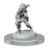 D&D Nolzurs Marvelous Miniatures Quicklings