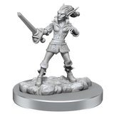 D&D Nolzurs Marvelous Miniatures Quicklings