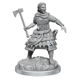 D&D Nolzurs Marvelous Unpainted Miniatures Human Fighters