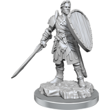 D&D Nolzurs Marvelous Unpainted Miniatures Human Fighters