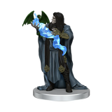 D&D Icons of the Realms Waterdeep Dragonheist Box Set 1