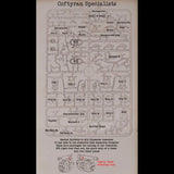 Wargames Atlantic: This Quar's War: Coftyran Specialists