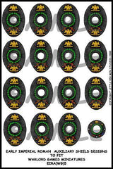 EIR Auxiliary shield designs 5