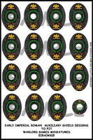 EIR Auxiliary shield designs 5