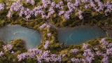 Gamer's Grass - Lavender Flowers