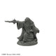 Reaper: Dungeon Dwellers: Erebus Nalas, Evil Sorcerer (plastic)