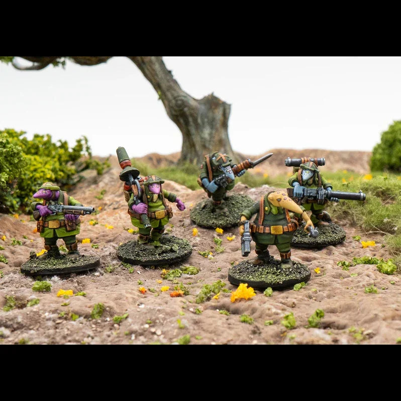 Wargames Atlantic: This Quar's War: Crusader Specialists