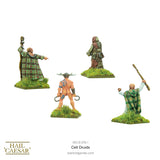 Ancient Celts: Druids