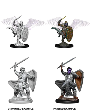 D&D Nolzurs Marvelous Unpainted Miniatures Aasimar Male Paladin