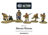 Bolt Action - Siberian Veterans boxed set - Gap Games