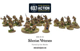 Bolt Action - Siberian Veterans boxed set - Gap Games