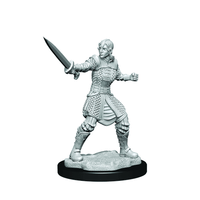 Critical Role Unpainted Miniatures Human Dwendalian Empire Fighter Female - Gap Games