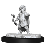 Critical Role Unpainted Miniatures Lotusden Halfing Ranger Male