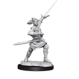 Critical Role Unpainted Miniatures Half-Elf Paladin Xhorhas Female