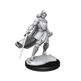 Critical Role Unpainted Miniatures Half-Elf Paladin Xhorhas Female
