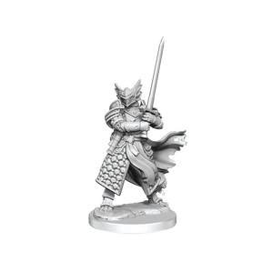 D&D Frameworks Dragonborn Paladin Male - Gap Games
