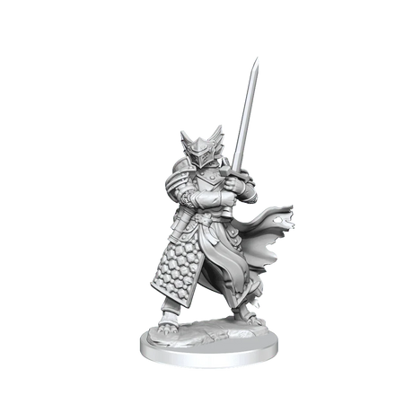 D&D Frameworks Dragonborn Paladin Male - Gap Games
