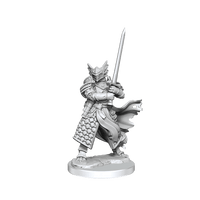 D&D Frameworks Dragonborn Paladin Male - Gap Games