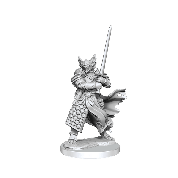 D&D Frameworks Dragonborn Paladin Male - Gap Games