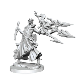 D&D Frameworks Dragonborn Sorcerer Female - Gap Games