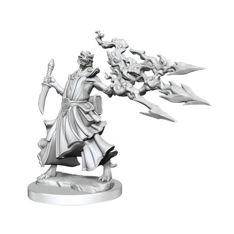 D&D Frameworks Dragonborn Sorcerer Female - Gap Games