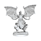 D&D Frameworks Dragonborn Sorcerer Female - Gap Games