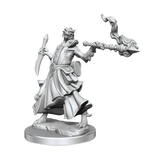 D&D Frameworks Dragonborn Sorcerer Female - Gap Games
