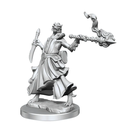 D&D Frameworks Dragonborn Sorcerer Female - Gap Games