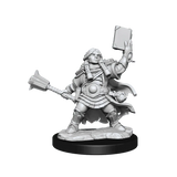 D&D Frameworks Dwarf Cleric Female - Gap Games