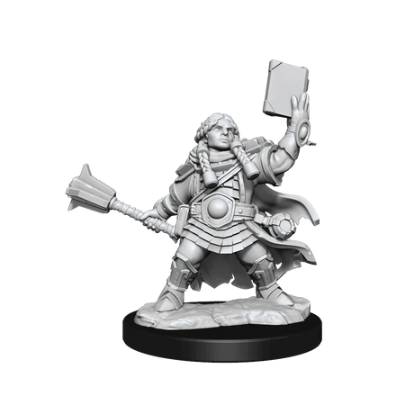D&D Frameworks Dwarf Cleric Female - Gap Games