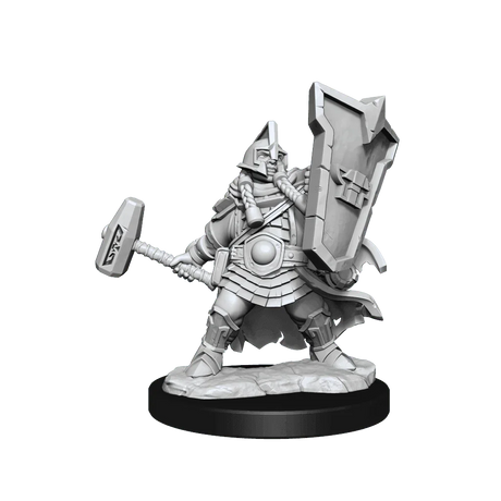 D&D Frameworks Dwarf Cleric Female - Gap Games